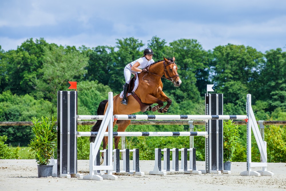 métier cheval "Cavalier(e) de concours" équiressources